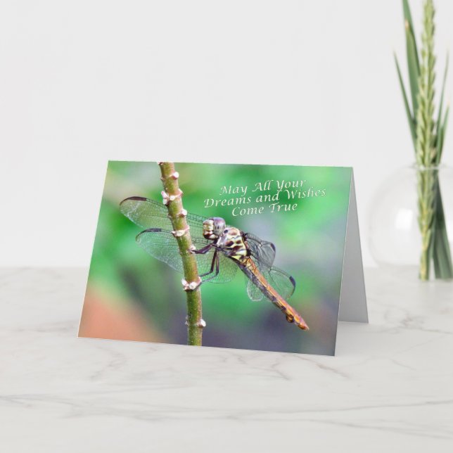 Dragonfly Birthday Card (7178) Kort (Framsida)