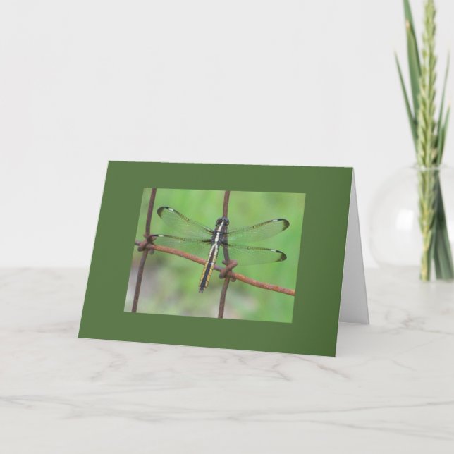 Dragonfly Birthday Card Kort (Framsida)