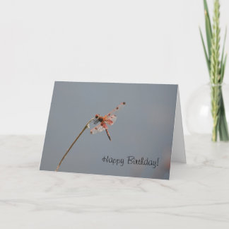 Dragonfly Birthday Card Kort