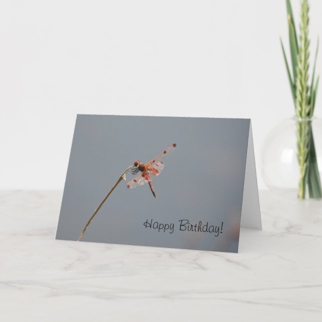 Dragonfly Birthday Card Kort (Framsida)