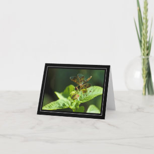 Dragonfly Blanka anteckningskort