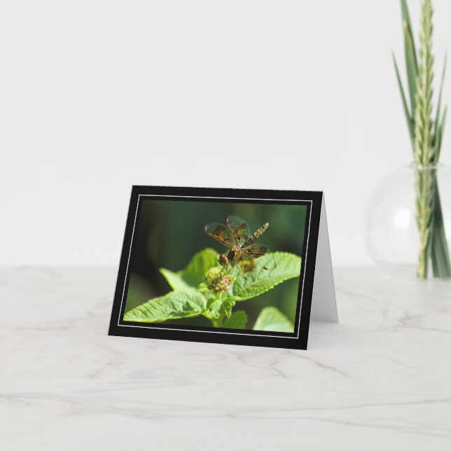 Dragonfly Blanka anteckningskort (Framsida)