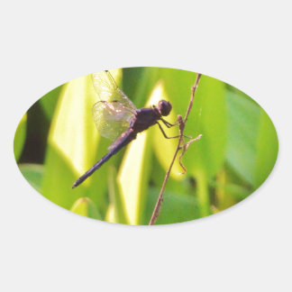 Dragonfly Blue och svart på gräs. Ovalt Klistermärke