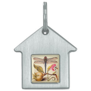 Dragonfly Botanical Nature Wildlife ID-bricka Husdjur