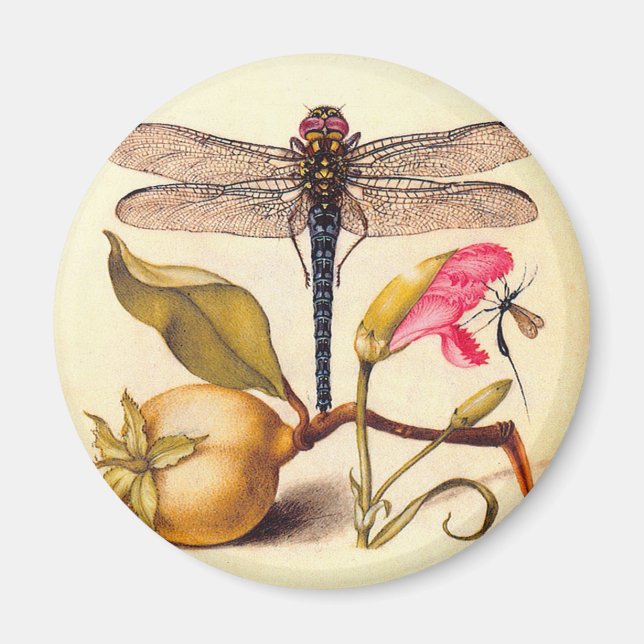 Dragonfly Botanical Nature Wildlife Magnet (Framsidan)