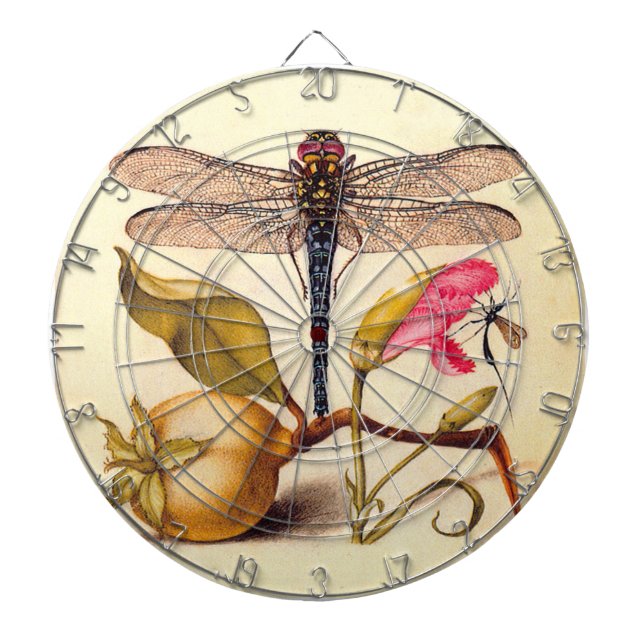 Dragonfly Botanical Nature Wildlife Piltavla (Framsidan)