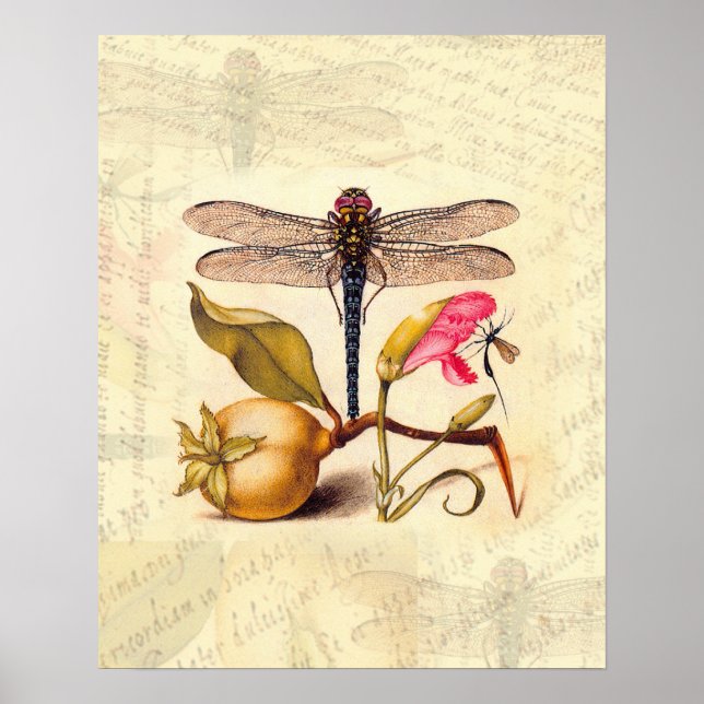 Dragonfly Botanical Nature Wildlife Poster (Framsidan)