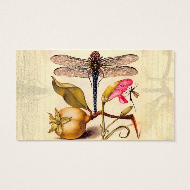 Dragonfly Botanical Nature Wildlife Visitkort (Baksidan)