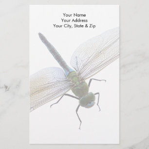 Dragonfly Brevpapper