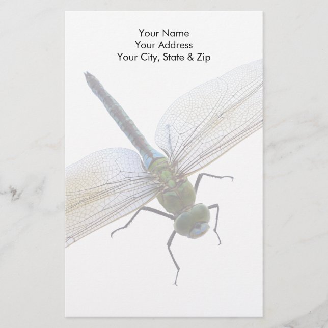 Dragonfly Brevpapper (Framsida)
