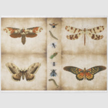 Dragonfly Butterfly moth decoupage-Tissue-Papper