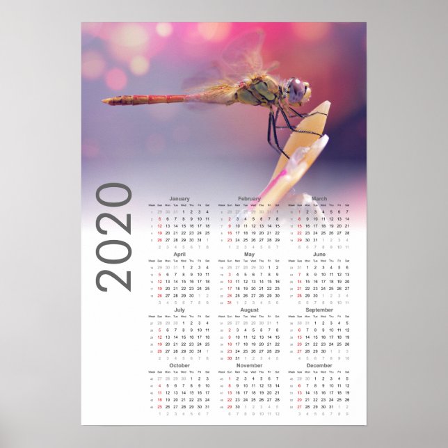 Dragonfly Calendar 2020 Poster (Framsidan)