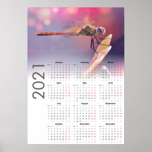 Dragonfly Calendar 2021 Poster - måndag start