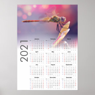 Dragonfly Calendar 2021 Poster - Söndag start