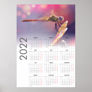 Dragonfly Calendar 2022 Poster - måndag start