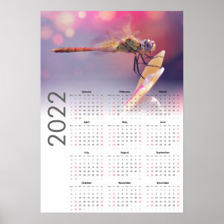 Dragonfly Calendar 2022 Poster - Söndag start