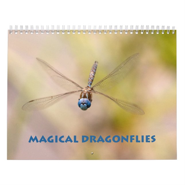 Dragonfly Calendar Kalender (Omslag)