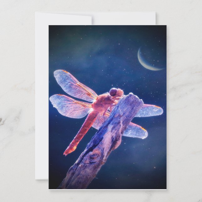 Dragonfly Canvas, kvinnans mjuka, söta boho Canvas (Framsida)