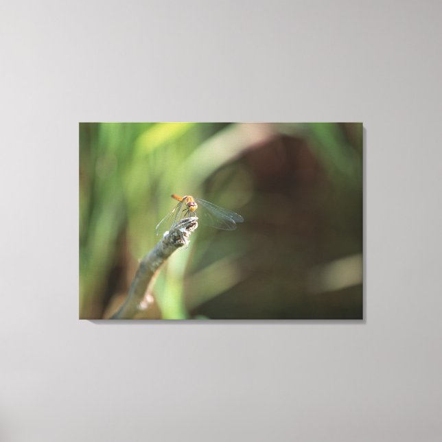 Dragonfly Canvastryck (Framsida)
