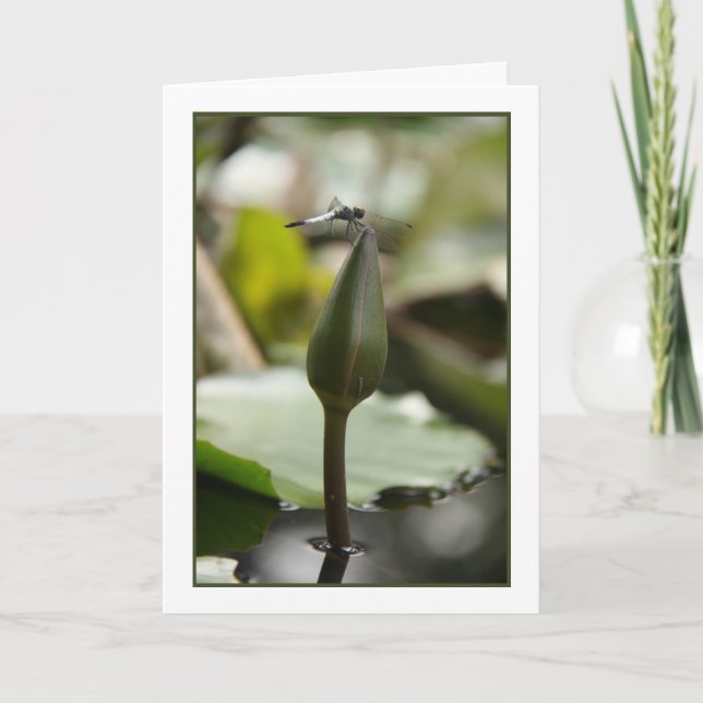 Dragonfly Card Kort (Framsida)
