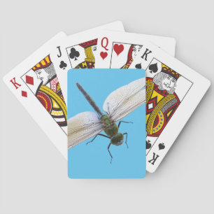 Dragonfly Casinokort