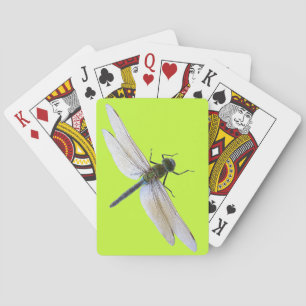 Dragonfly Casinokort