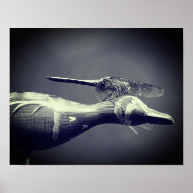Dragonfly Co Pilot Black and White Poster (Framsidan)