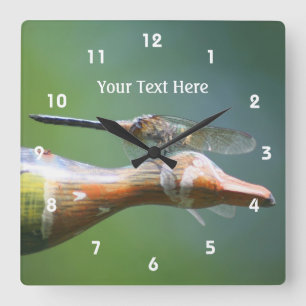Dragonfly Co Pilot Cute Nature Fyrkantig Klocka