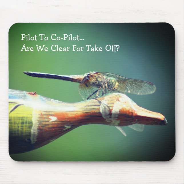 Dragonfly Co Pilot Humous Nature Musmatta (Framsidan)