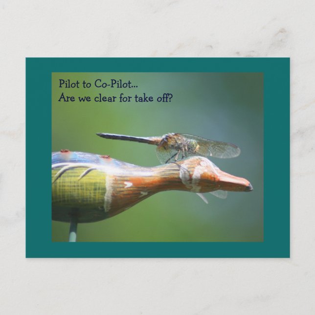 Dragonfly Co Pilot Humous Nature Postcard Vykort (Framsida)