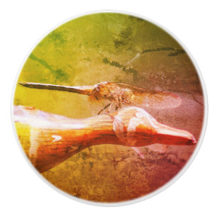Dragonfly Co Pilot Insekt Abstrakt Grunge  Knopp