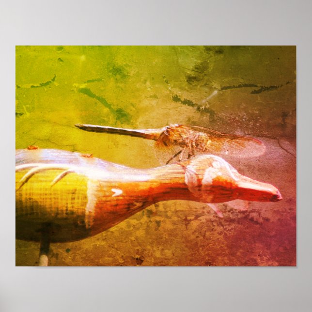 Dragonfly Co Pilot Insekt Abstrakt Grunge Poster (Framsidan)