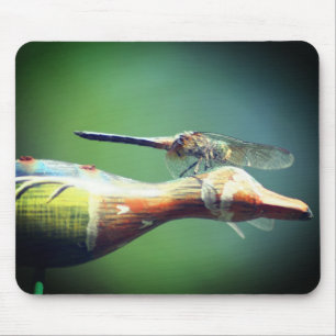 Dragonfly Co Pilot Nature Musmatta