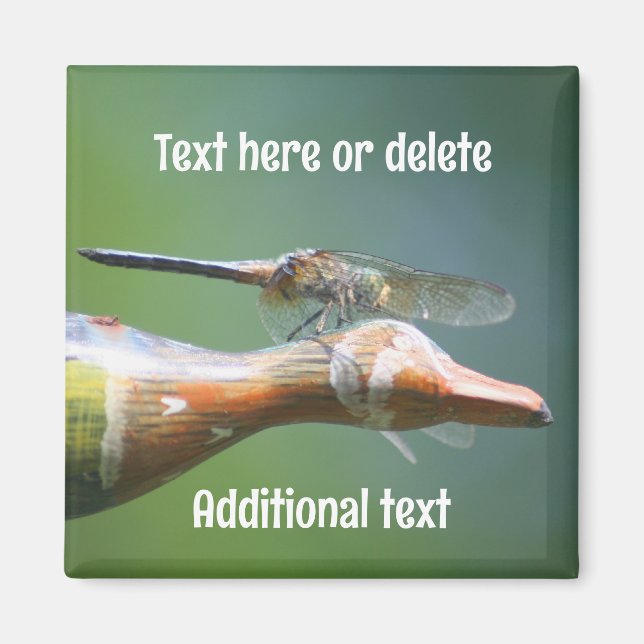 Dragonfly Co Pilot Nature Personalized Magnet (Framsidan)