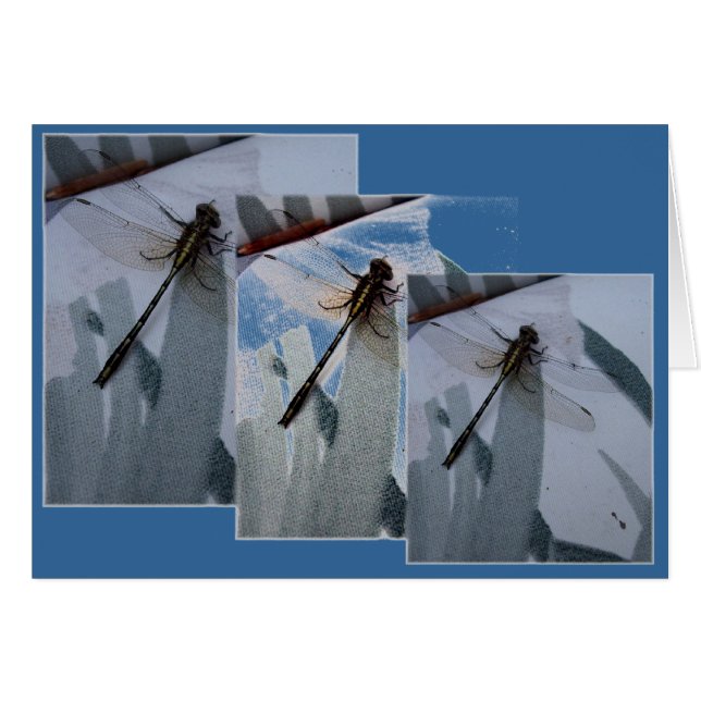 Dragonfly Collage Hälsningskort (Framsidan Horizontal)
