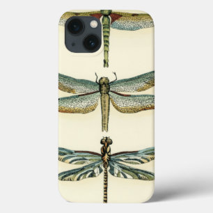 Dragonfly Collection by Chariklia Zarris