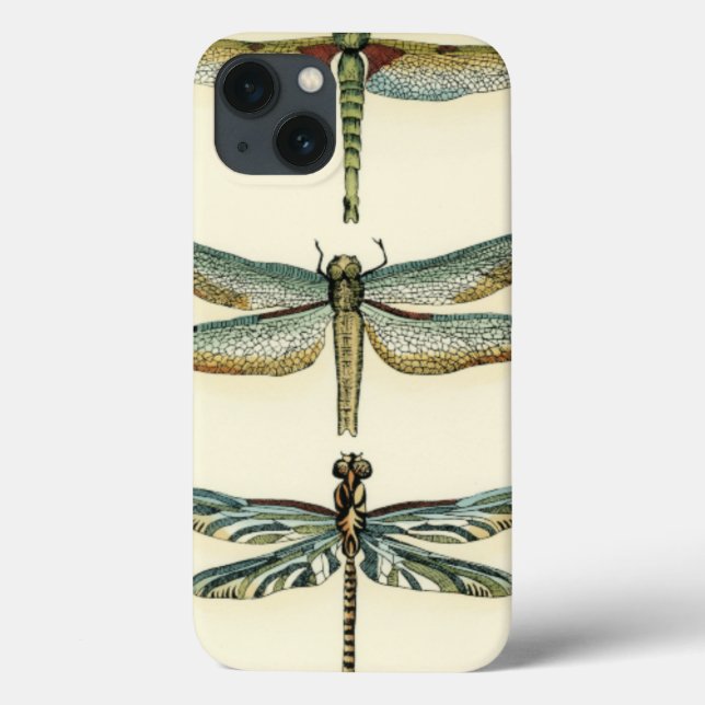 Dragonfly Collection by Chariklia Zarris (Baksida)