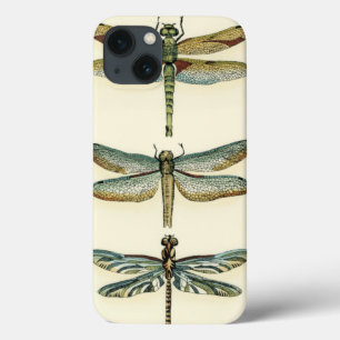 Dragonfly Collection by Chariklia Zarris