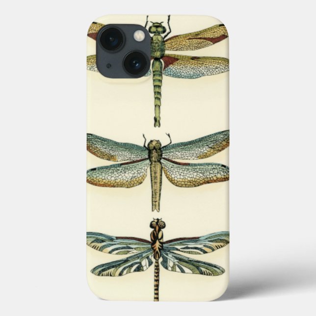 Dragonfly Collection by Chariklia Zarris (Baksida)