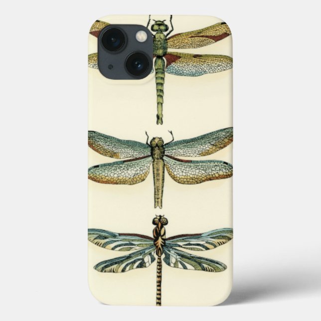 Dragonfly Collection by Chariklia Zarris (Baksida)