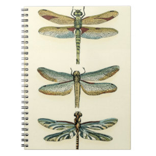Dragonfly Collection by Chariklia Zarris Anteckningsbok