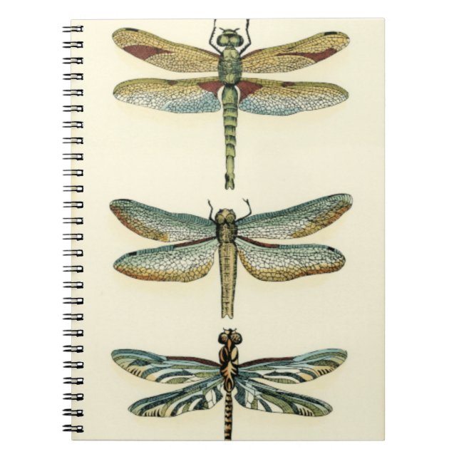 Dragonfly Collection by Chariklia Zarris Anteckningsbok (Framsidan)
