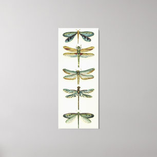 Dragonfly Collection by Chariklia Zarris Canvastryck