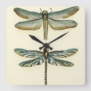 Dragonfly Collection by Chariklia Zarris Fyrkantig Klocka