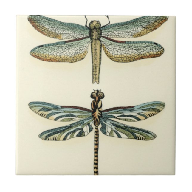 Dragonfly Collection by Chariklia Zarris Kakelplatta (Framsidan)