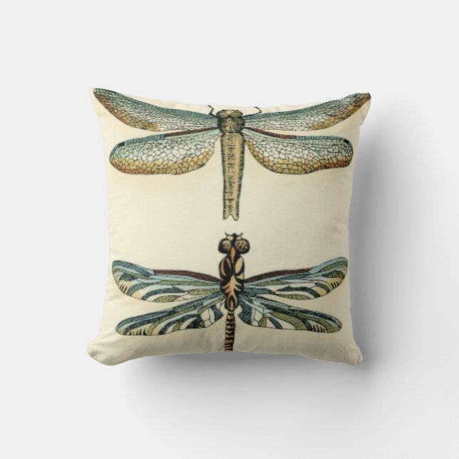 Dragonfly Collection by Chariklia Zarris Kudde (Framsida)