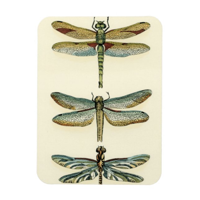 Dragonfly Collection by Chariklia Zarris Magnet (Vertikal)
