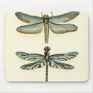 Dragonfly Collection by Chariklia Zarris Musmatta