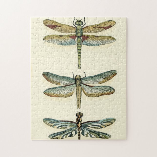 Dragonfly Collection by Chariklia Zarris Pussel (Vertikal)