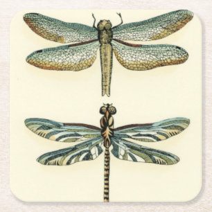 Dragonfly Collection by Chariklia Zarris Underlägg Papper Kvadrat